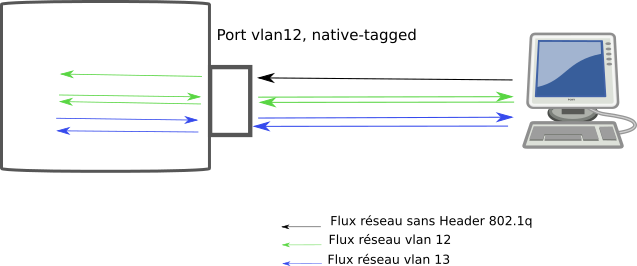 port en mode native-tagged